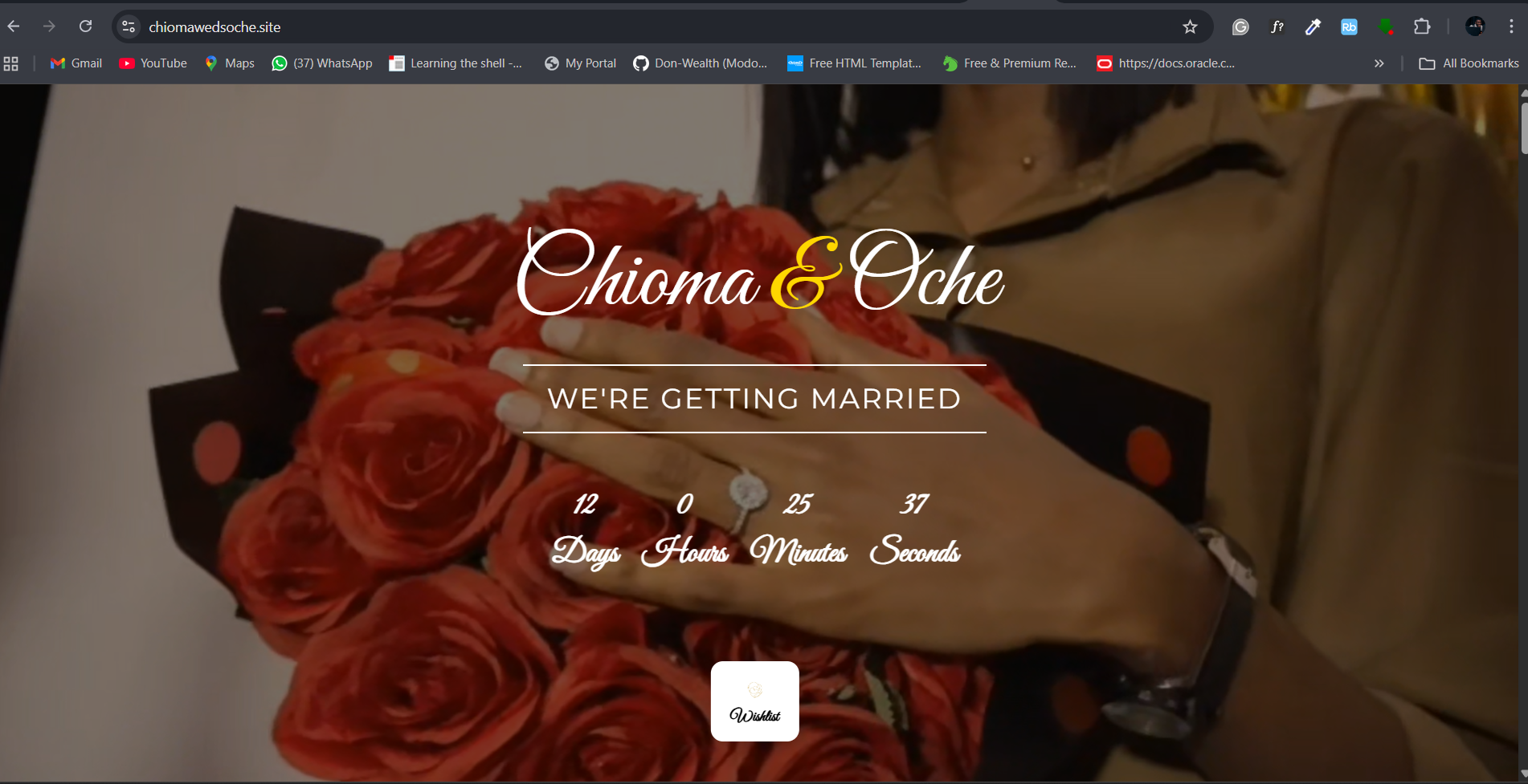 Wedding Website & Guest tracking system (RSVP)